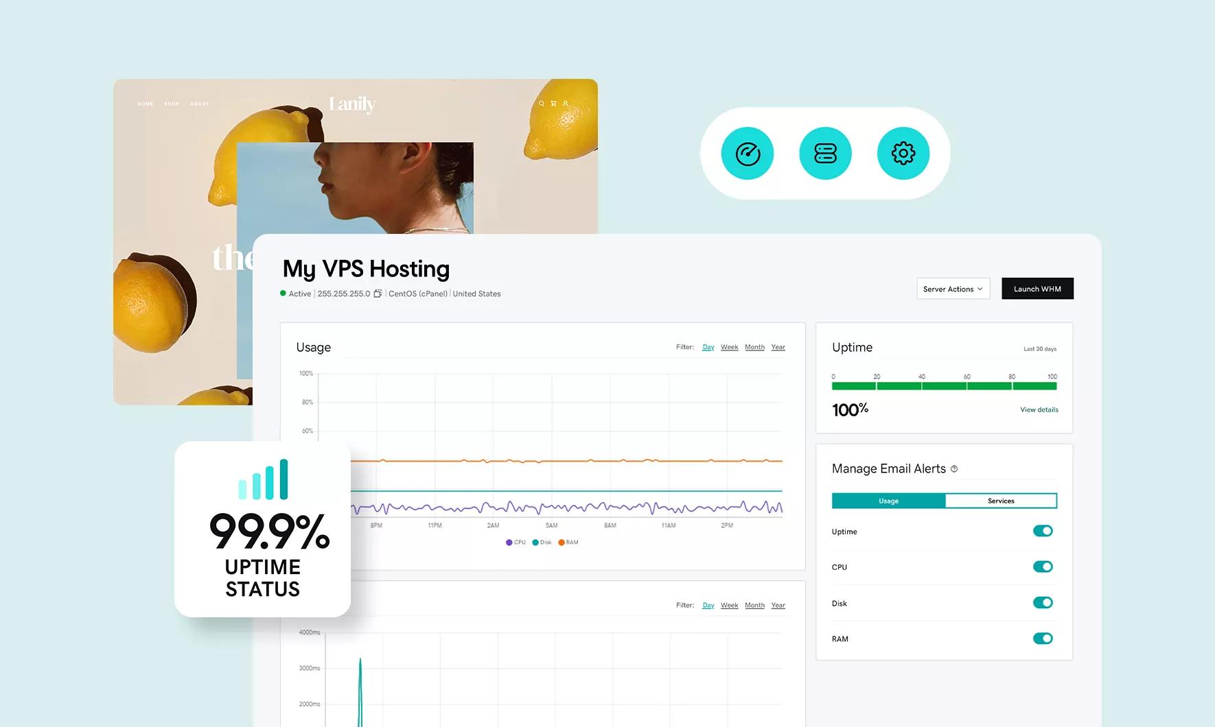 web hosting services